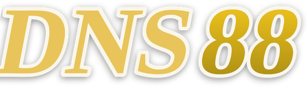 dns88